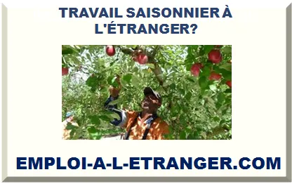 TRAVAIL SAISONNIER À L'ÉTRANGER 2025>
                    <div class=